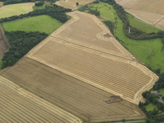 General oblique aerial view of the henge and square barrow under excavation in 2009, taken from the NE.