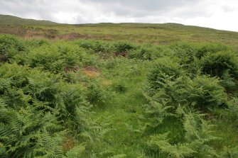 Annishader, E Group (NG 44650 50960): structure NG 44688 50960 among the bracken, looking S