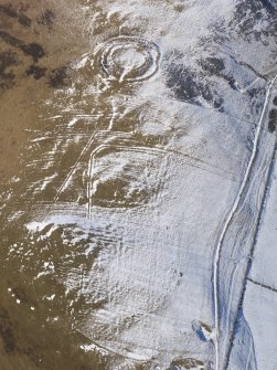 Oblique aerial view of Mitchelhill fort and settlement, cultivation remains, huts and quarries under snow, looking NW.