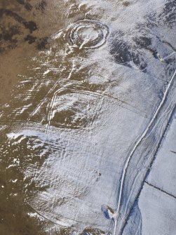 Oblique aerial view of Mitchelhill fort and settlement, cultivation remains, huts and quarries under snow, looking WNW.