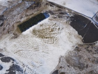 Oblique aerial view of palisaded settlement under snow, looking WNW.