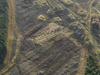 Oblique aerial view of the remains of the miners row at Wilsontown after clearance of trees, taken from the NE.