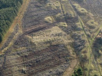 Oblique aerial view of the remains of the miners row at Wilsontown after clearance of trees, taken from the NNE.