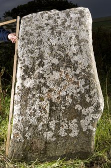 View of carved stone (with scale)