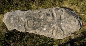 View of cross slab