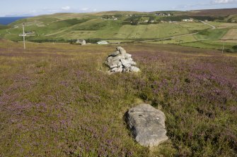 View showing location of stone in landscape
