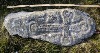 View of carved stone (with scale)