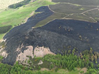 Oblique aerial view of the burnt heather moorland on Eildon Wester Hill, taken from the SSW.