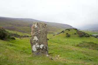 View showing stone within landcape