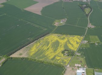 Oblique aerial view of the cropmarks of the possible building and the rig and furrow, taken from the SSE.