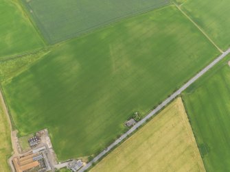 Oblique aerial view of the cropmarks of the ring ditch, looking E.