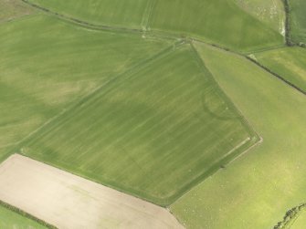 Oblique aerial view of the cropmarks of the settlement, taken from the SSE.