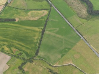 Oblique aerial view of the cropmarks of the round house and field boundaries, taken from the NW.