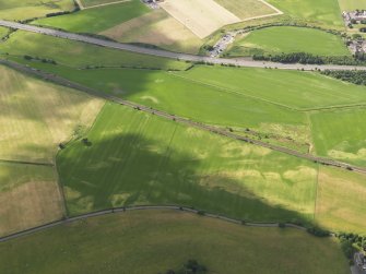 Oblique aerial view of the cropmarks of the rig and furrow and pits, taken from the NE.