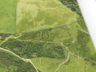 Oblique aerial view of the remains of Trowdale Mote, taken from the NW.