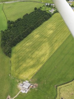 Oblique aerial view of the cropmarks of the rectilinear settlement and the ditch of the Roman Temporary Camp at Torwood with Lochside farmstead in the foregound, taken from the S.