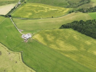 Oblique aerial view of the cropmarks of the rectilinear settlement and the ditch of the Roman Temporary Camp at Torwood with Lochside farmstead adjacent, taken from the S.