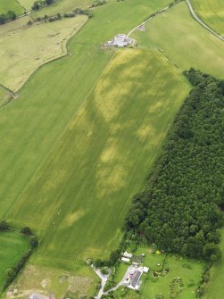 Oblique aerial view of the cropmarks of the rectilinear settlement and the ditch of the Roman Temporary Camp at Torwood with Lochside farmstead beyond, taken from the NNE.
