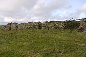General view of the remains of John Henderson's cottage at Moss, Tiree.