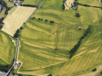 Oblique aerial view of the cropmarks of the Roman Temporary Camps at Mertoun Bridge, taken from the NE.