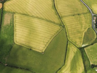 Oblique aerial view of the cropmarks of the settlement, taken from the E.