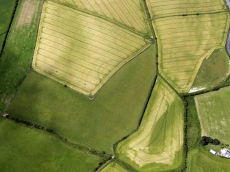 Oblique aerial view of the cropmarks of the settlement and the moated site, taken from the E.