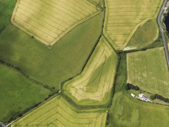 Oblique aerial view of the cropmarks of the settlement and the moated site, taken from the ESE.