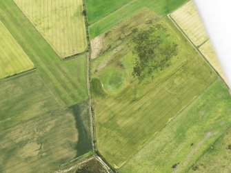 Oblique aerial view of the cropmarks of the possible enclosure and the field boundary, looking to the ESE.