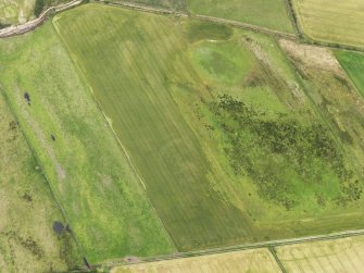 Oblique aerial view of the cropmarks of the possible enclosure and the field boundary, looking to the NNE.