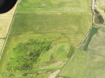 Oblique aerial view of the cropmarks of the possible enclosure and the field boundary, looking to the W.