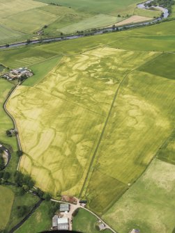 General oblique aerial view of the cropmarks with Drumtogle in the foreground and Haugh of Aberuthven in the distance, looking to the NNE.