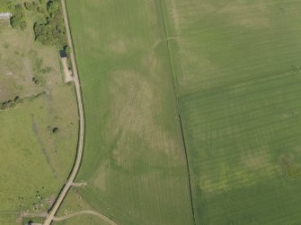 Oblique aerial view of the parchmarks of the round house at Holms, taken from the W.