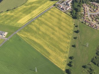 Oblique aerial view of the cropmarks of the cursus monument, enclosure and henge at Drybridge, taken from the NW.