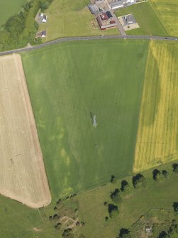 Oblique aerial view of the cropmarks of the cursus monument and pits at Drybridge, taken from the WSW.