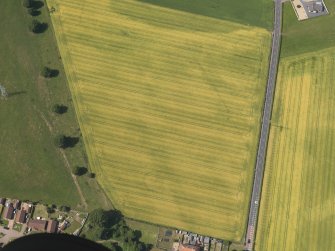 Oblique aerial view of the cropmarks of the cursus monument and pits at Drybridge, taken from the SSE.