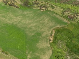 Oblique aerial view centred on the parchmarks of the barrow, taken from the NE.