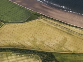 Oblique aerial view of the cropmarks of the round houses and field boundary, looking to the ENE.