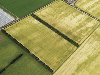 Oblique aerial view of the cropmarks of the rig, looking to the N.