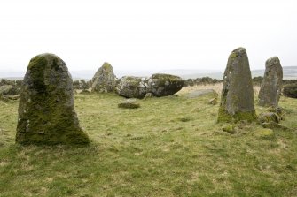 Recumbent, flanker and ring stones, view from NW o