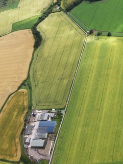 Oblique aerial view of the cropmarks of the enclosures and rig, looking to the NE.