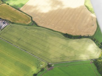 Oblique aerial view of the cropmarks of the enclosures and rig, looking to the NW.