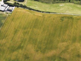 Oblique aerial view of the cropmarks of the ring ditch, rig and possible round house, looking to the SSE.