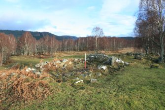 Farmstead 101, Upper Allt Dubh, from SW