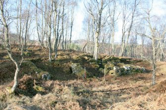 Site 102, Upper Allt Dubh, from SW