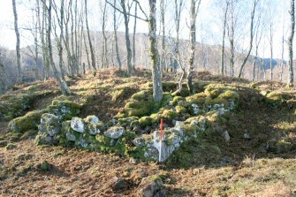 Site 102, Upper Allt Dubh, north part from NE