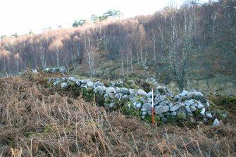 Farmstead 107, Upper Allt Dubh, from W