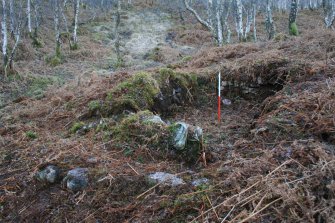 Probable still bothy 117, Upper Allt Dubh, from NE