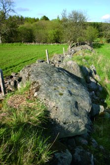 The 'Druid Stone' built into the Dyke from the WSW