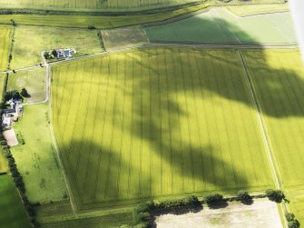 Oblique aerial view of the cropmarks of the possible round house, looking to the W.
