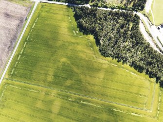 Oblique aerial view of the cropmarks of the round barrows, looking to the SW.